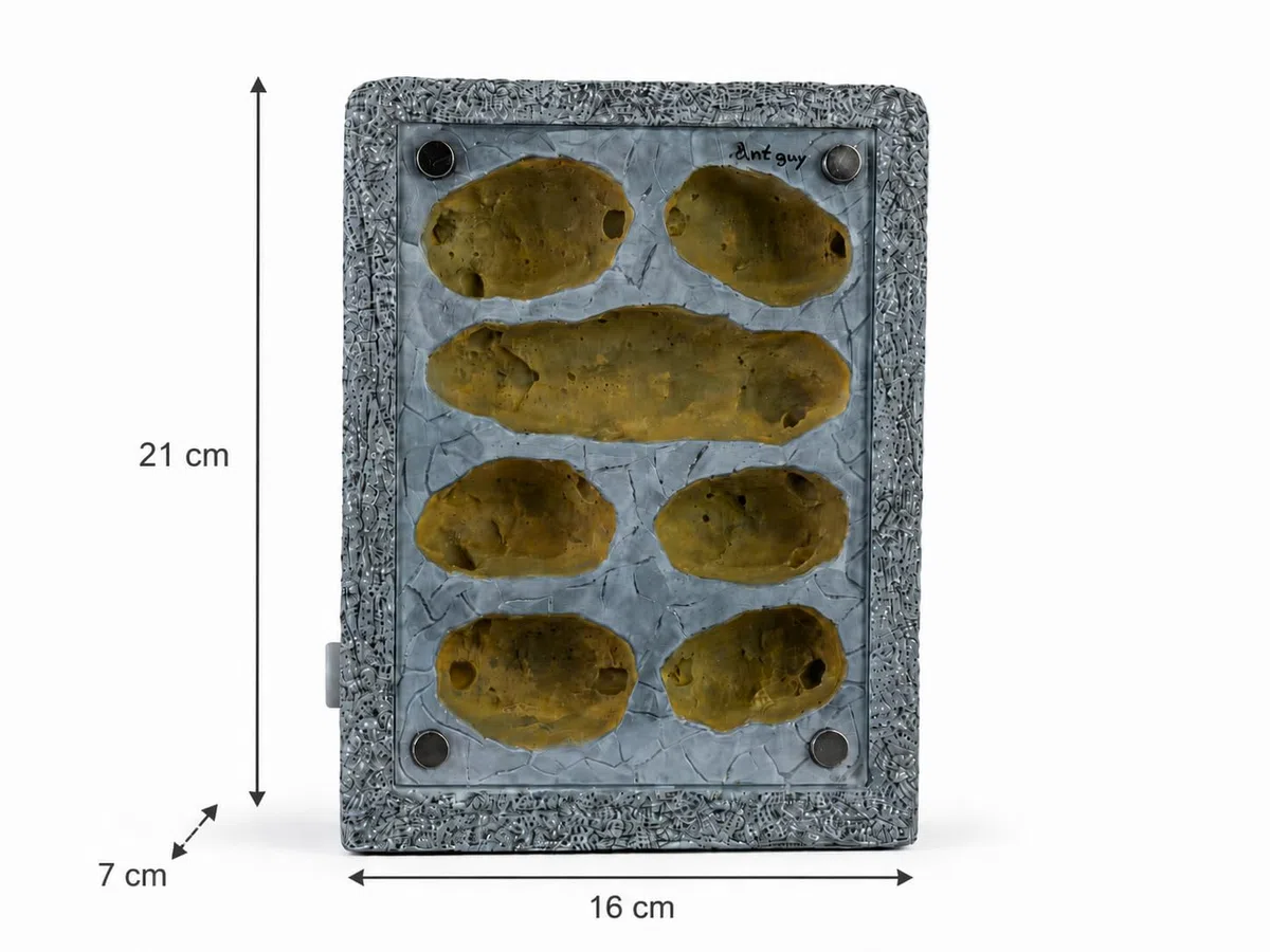 Formicarium Ameisennest Ameisenfarm in Granitoptik für Ameisen