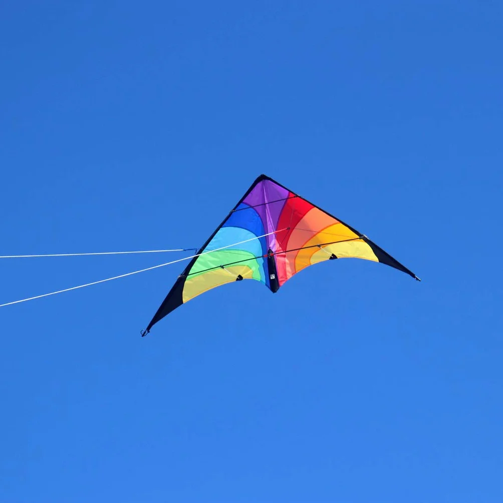 Wolkenstürmer Kinder Lenkdrachen Fancy - Parent