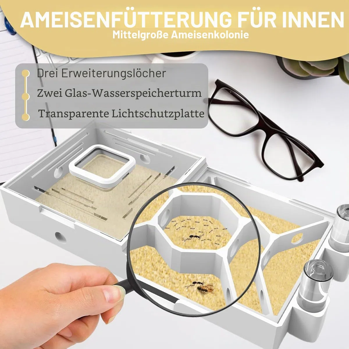 Nest Farm für lebende Ameisen und Königin – Ameisenfarmen mit gelbem Sand Beobachtung Transparente Ameisenfarm für Erwachsene 3D-gedrucktes Nest Ameisenwerkstatt Schloss Ameisengarten Königin (WT2-4)