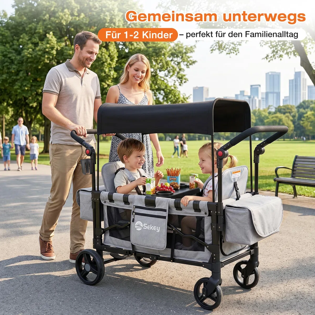 Sekey Bollerwagen Kinder Zwillingsmodus, Bollerwagen Faltbar mit Dach 2 Kinder, Duo Schiebegriff Kinderwagen Doppelsitz mit 2 integrierten 5-Punkt-Gurtsystem, Zwillingskinderwagen Luxer 6060, Grau
